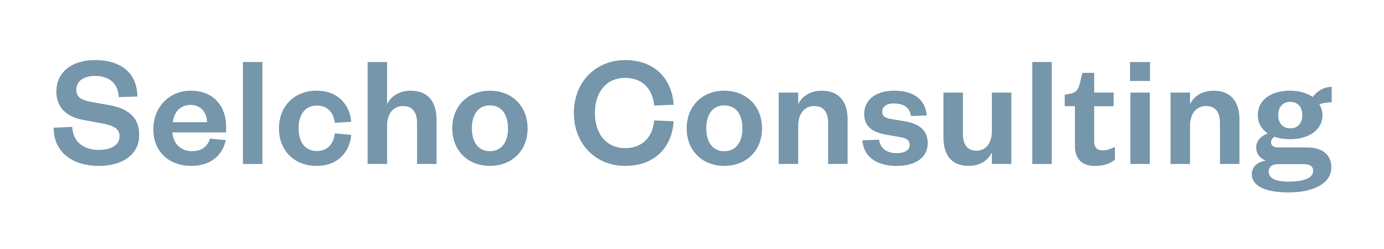 Selcho Consulting